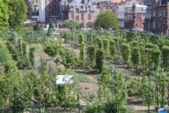 Jardin Fruitier 01