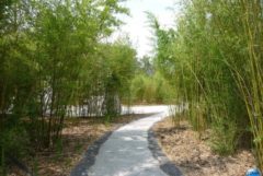 Copyright : Zoom Sur Lille / Jardin des Géants