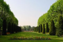 Copyright : DR / Daniel Rapaich - Ville de Lille / Jardin des Plantes