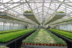 Copyright : DR / Daniel Rapaich - Ville de Lille / Jardin des Plantes