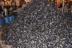 Aux Moules