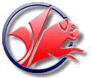 Copyright : DR - Twilight - Brawl / Logo de 1992 à 1997