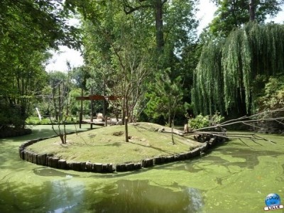 art_zoo03