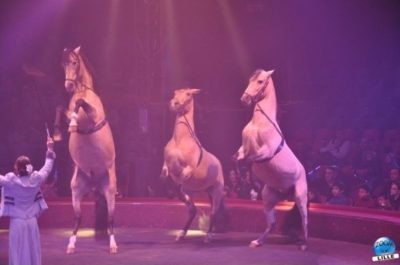 article_cirquegruss2011_01