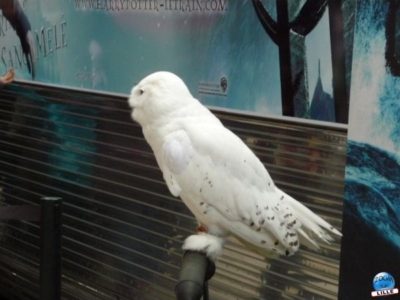 article_harry_potter07