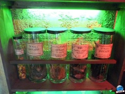 article_harry_potter08