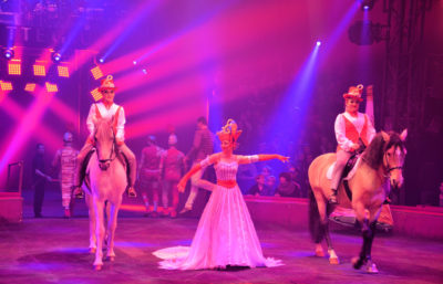 art_cirquegruss2015_03b