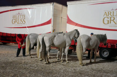Copyright : Zoom Sur Lille / Les Chevaux de la Cavalerie du Cirque Arlette Gruss