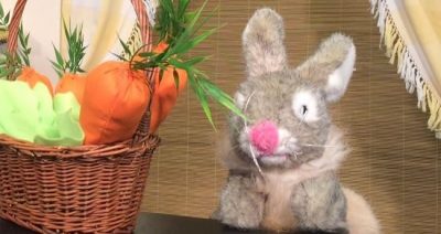 Copyright : DR - Théâtre de Marionettes "Le P'tit Jacques" - Drôle de Lapin