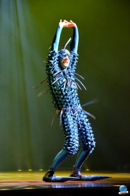 Copyright : Zoom Sur Lille / OVO du Cirque du Soleil - La Mouche