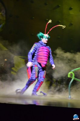 Copyright : Zoom Sur Lille / OVO du Cirque du Soleil - Trampoline et mur