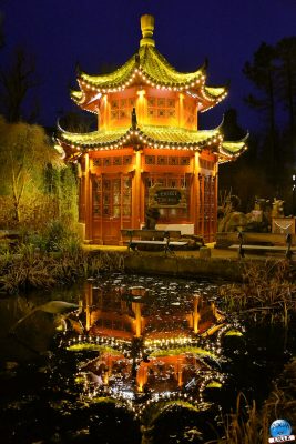 Copyright : Zoom Sur Lille / La Chine Illuminée