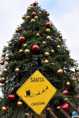 Copyright : Zoom Sur Lille / Sapin Géant
