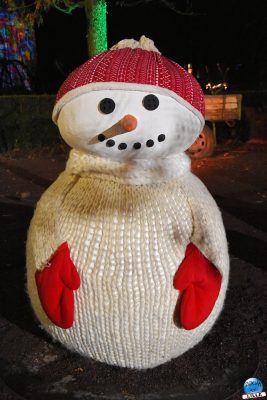 Copyright : Zoom Sur Lille / Le Bonhomme de Neige Géant