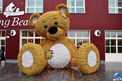 Copyright : Zoom Sur Lille / Teddy Bear Lumineux