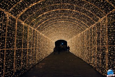 Copyright : Zoom Sur Lille / Tunnel de Lumière