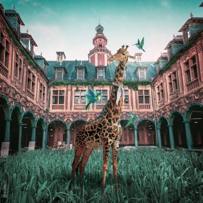 Copyright : DR - Zak Eazy / Girafe