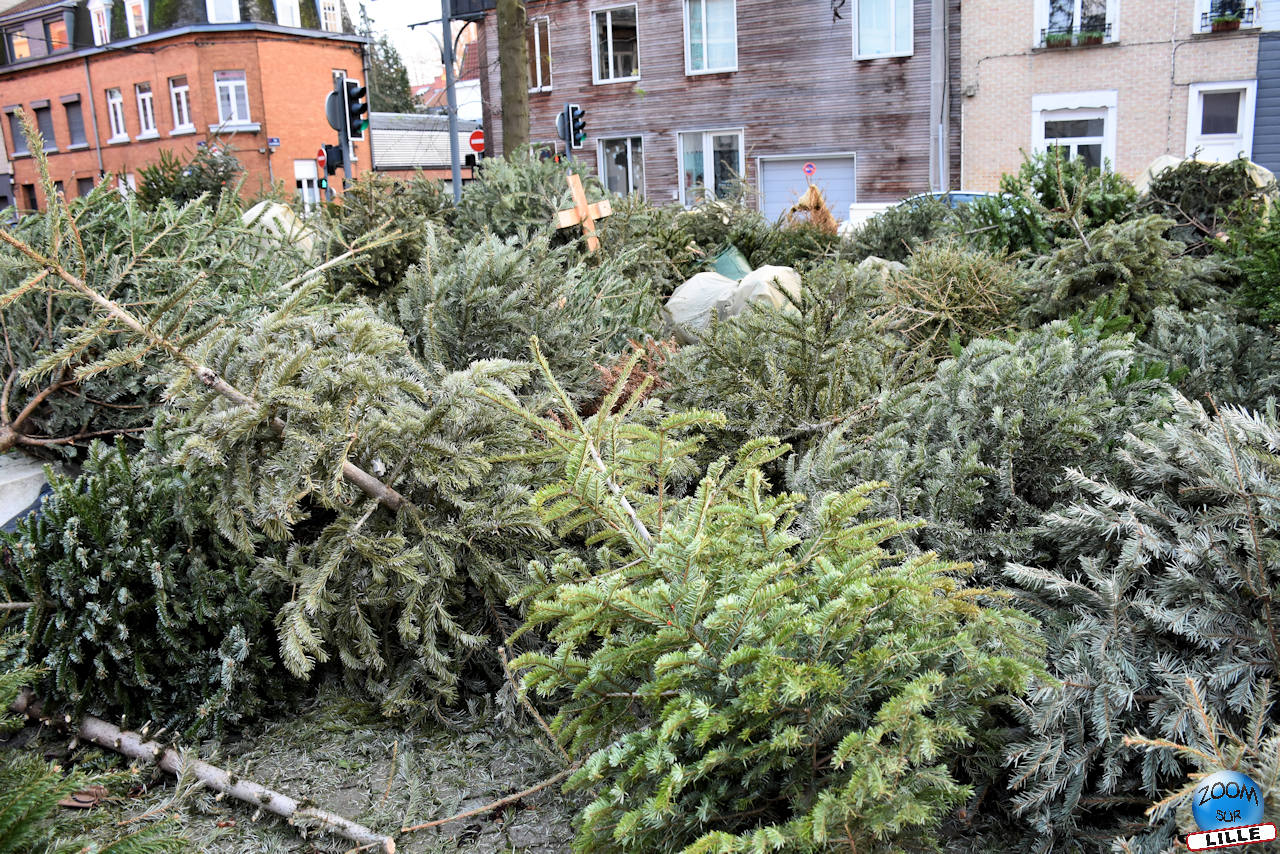 リール市は、2025 年 1 月 3 日から 26 日までクリスマス ツリーを集めます。