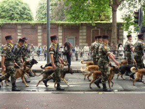 Défilé 14 Juillet 2011
