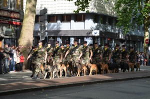 Défilé 14 Juillet 2012