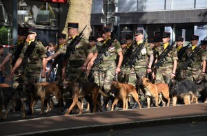 Défilé 14 Juillet 2012