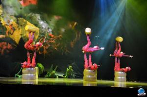 Cirque du Soleil - OVO - 07