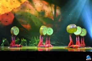 Cirque du Soleil - OVO - 09