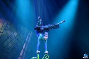 Cirque du Soleil - OVO - 11