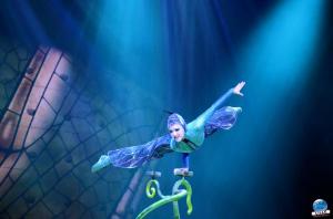 Cirque du Soleil - OVO - 12