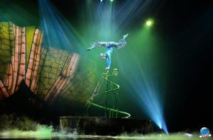 Cirque du Soleil - OVO - 14