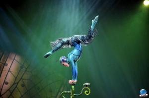 Cirque du Soleil - OVO - 15