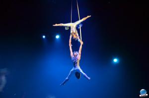 Cirque du Soleil - OVO - 27