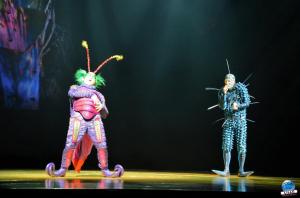 Cirque du Soleil - OVO - 28