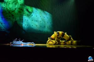 Cirque du Soleil - OVO - 29