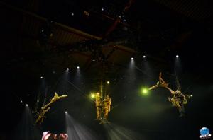 Cirque du Soleil - OVO - 32