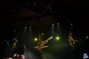 Cirque du Soleil - OVO - 33