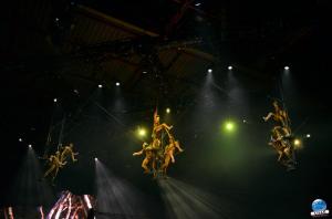 Cirque du Soleil - OVO - 34