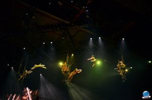 Cirque du Soleil - OVO - 35