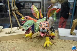 Musée d'Histoire Naturelle - Alebrijes - 04