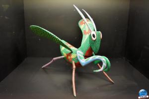 Musée d'Histoire Naturelle - Alebrijes - 07