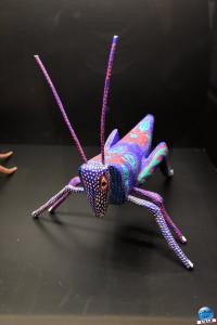 Musée d'Histoire Naturelle - Alebrijes - 09