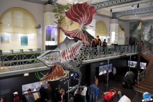 Musée d'Histoire Naturelle - Alebrijes - 14