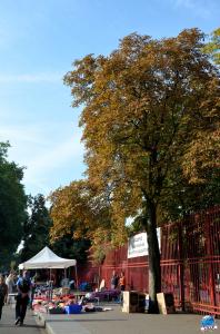 Braderie 2017 - 98