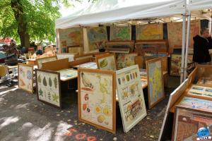 Braderie de Lille 2025 - 12