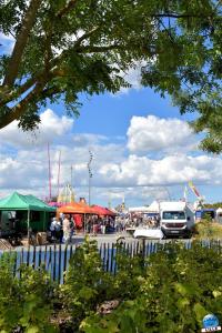 Braderie de Lille 2025 - 37