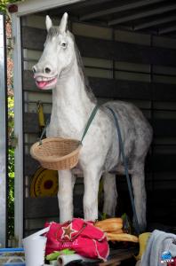 Braderie de Lille 2018 - 161