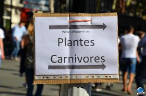 Braderie de Lille 2018 - 87