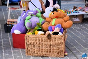 Braderie de Lille 2022 - 81