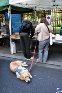 Braderie de Lille 2024 - 18