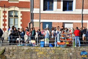 Braderie de Lille 2026 - 34